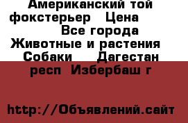 Американский той фокстерьер › Цена ­ 25 000 - Все города Животные и растения » Собаки   . Дагестан респ.,Избербаш г.